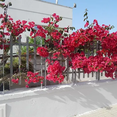 게스트하우스 Monte Sant' Angelo 3*